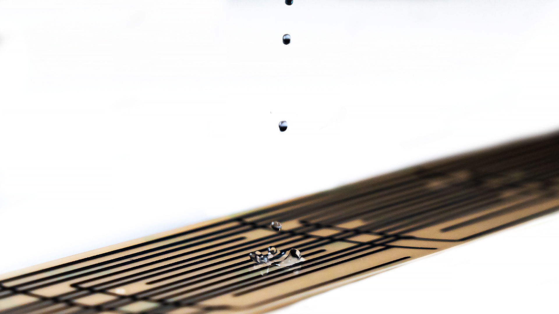 Water droplets on LAIIER's Severn sensor